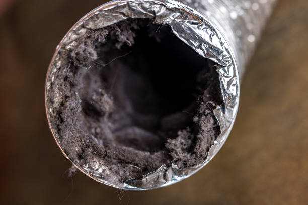 Best Residential Air Duct Cleaning  in South Williamsport, PA